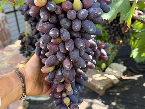 дом по адресу Лісник, 18