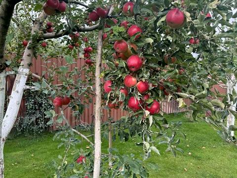 дом по адресу Лісник, 18