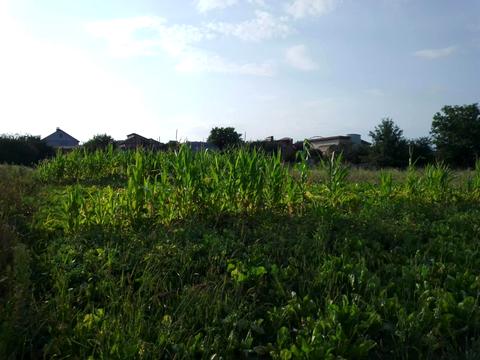 будинок за адресою львівська