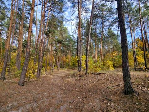 будинок за адресою львівська