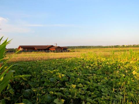 будинок за адресою львівська