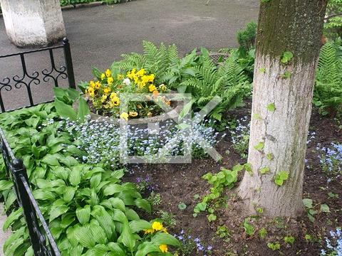 квартира по адресу Андрея Малышко ул., 31-А