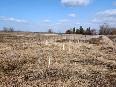 будинок за адресою вулиця Пшенична, 13