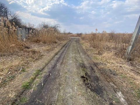 участок по адресу с. Гамалиевка, 