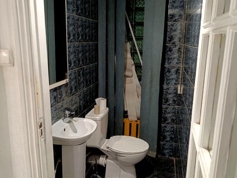 комерційна за адресою Григорія Сковороди вул. (Пушкінська), 67