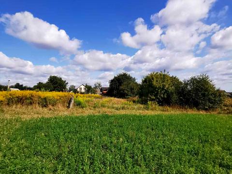 участок по адресу Леонтовича ул., 21