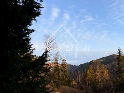 ділянка за адресою с. Верхній Ясенів, Довга