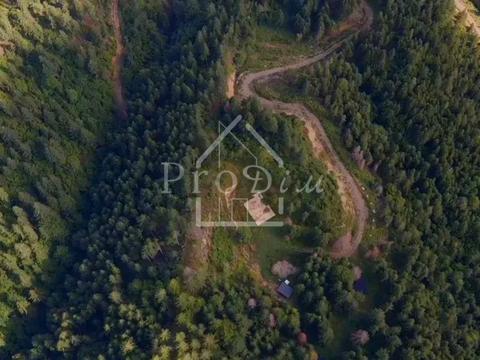 ділянка за адресою с. Верхній Ясенів, Довга