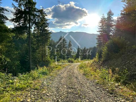 ділянка за адресою с. Верхній Ясенів, Довга