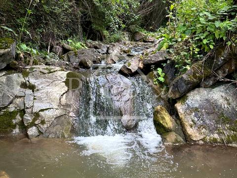 ділянка за адресою с. Верхній Ясенів, Довга