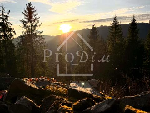 ділянка за адресою с. Верхній Ясенів, Довга