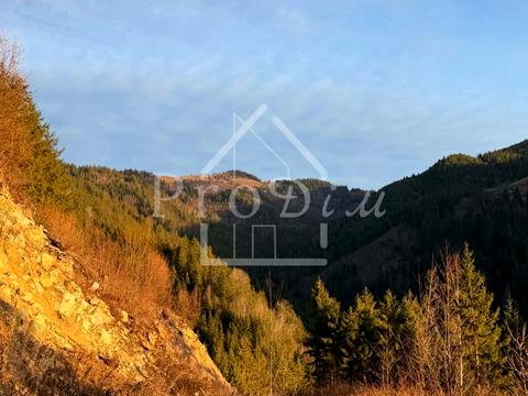 ділянка за адресою с. Верхній Ясенів, Довга