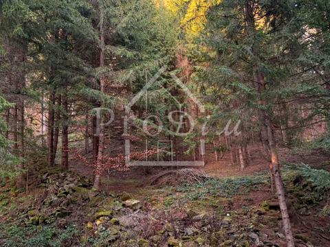 ділянка за адресою с. Верхній Ясенів, Довга