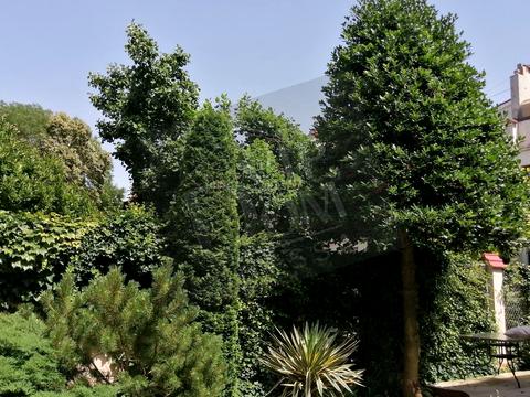 будинок за адресою Полуничний пров.