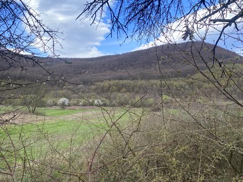 ділянка за адресою 