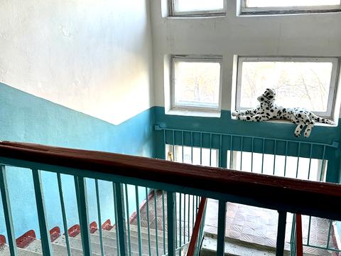 квартира за адресою Олександра Коваленка вул. (Нахімова), 15