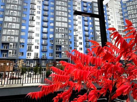 квартира по адресу Княгинин ул., (Будинок 28)