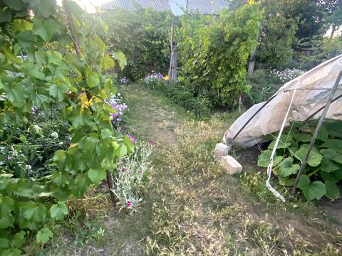 дом по адресу Красноармійстка