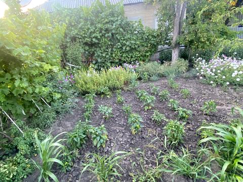 будинок за адресою Красноармійстка