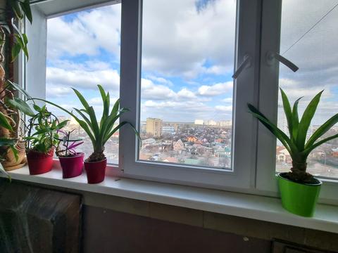 квартира по адресу Новаторов ул., 9