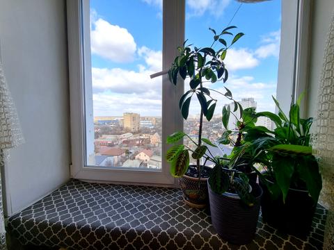 квартира по адресу Новаторов ул., 9