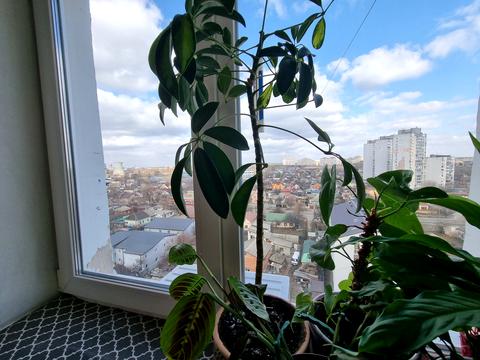 квартира по адресу Новаторов ул., 9