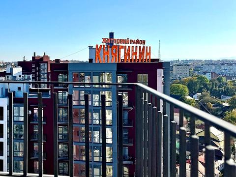 квартира по адресу Княгинин ул., (Будинок 38)