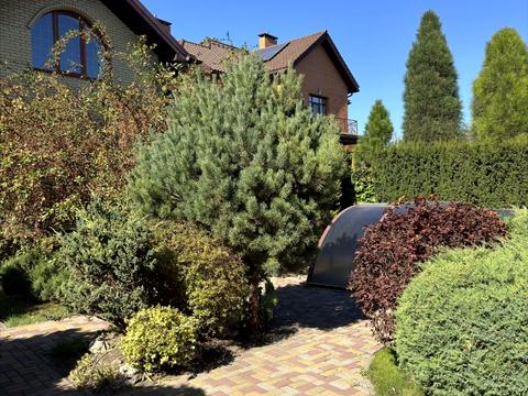 будинок за адресою Абрикосова