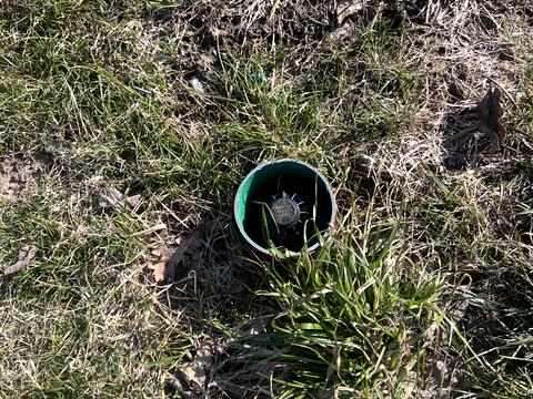 дом по адресу с. Великая Калинка, Садова