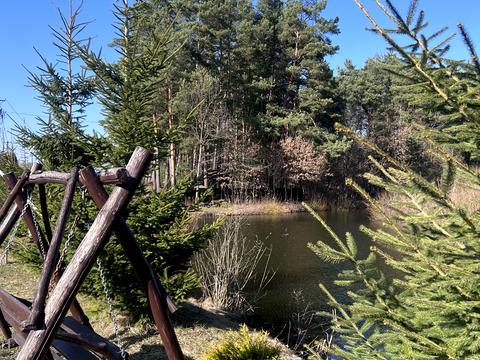 дом по адресу с. Великая Калинка, Садова