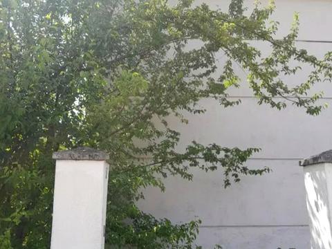 будинок за адресою Холодна вул.