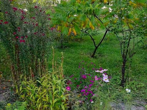 квартира за адресою Володимира Івасюка просп. (Героїв Сталінграду), 51