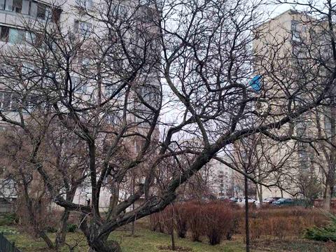 квартира за адресою Володимира Івасюка просп. (Героїв Сталінграду), 51