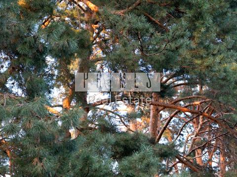 будинок за адресою Соснова