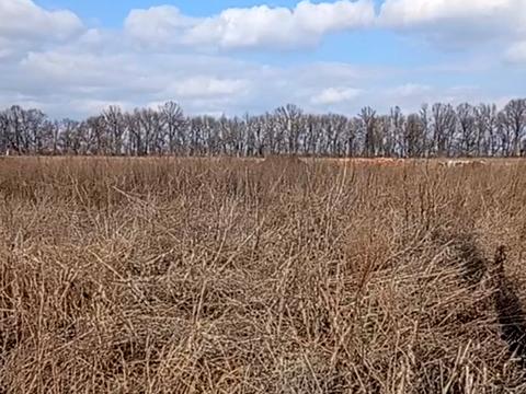 ділянка за адресою Левка Лук'яненка вул. (Ватутіна)