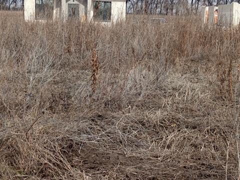 ділянка за адресою Левка Лук'яненка вул. (Ватутіна)