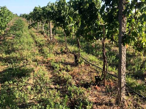 коммерческая по адресу За межами н.п., 1