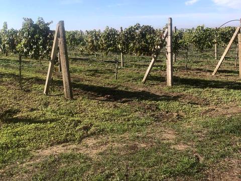 коммерческая по адресу За межами н.п., 1