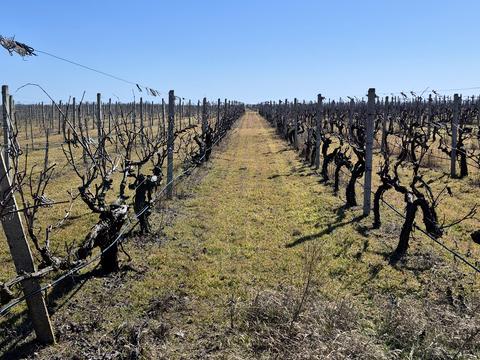 коммерческая по адресу За межами н.п., 1