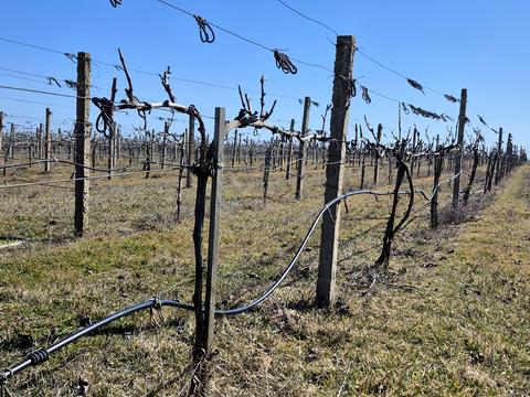 коммерческая по адресу За межами н.п., 1