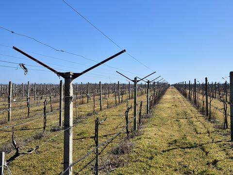коммерческая по адресу За межами н.п., 1