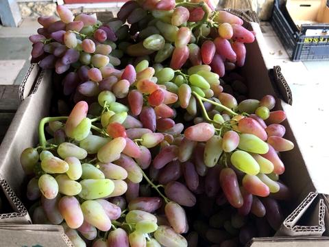 коммерческая по адресу За межами н.п., 1