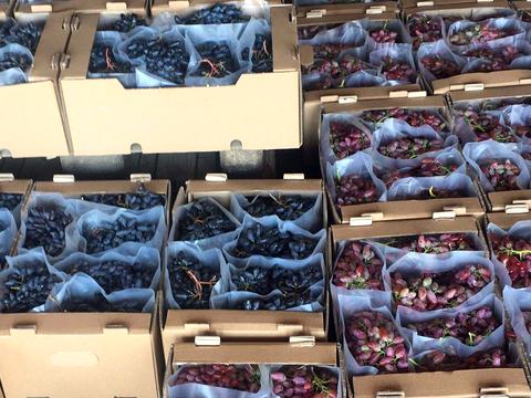 коммерческая по адресу За межами н.п., 1