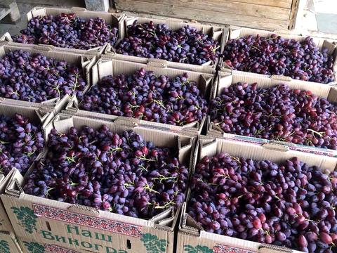 коммерческая по адресу За межами н.п., 1