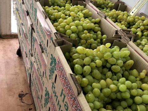 коммерческая по адресу За межами н.п., 1