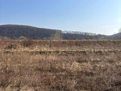 участок по адресу Вишнева