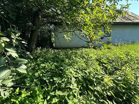 будинок за адресою Центральна