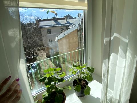 комната по адресу Пекарская ул., 20