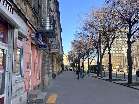 квартира за адресою Пантелеймона Куліша вул., 10