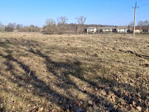 ділянка за адресою Зарічна